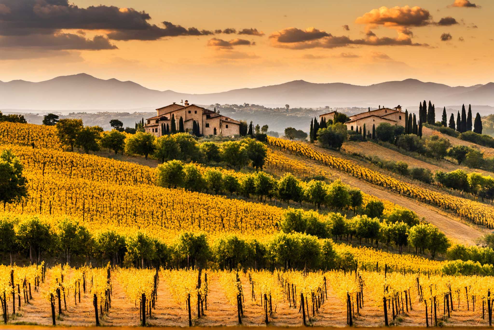 Meadow's breath silhouette: Serene landscape art with peaceful nature scenes, in a room with urban design, bespoke art designs, and trendy home accents. The art can be printed on poster, framed poster, canvas, metal, acrylic or wood, exclusively at WallArtZen. Find this exact print at https://wallartzen.com/waz328